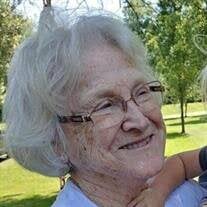 Lou Ann Steinhofer Obituary