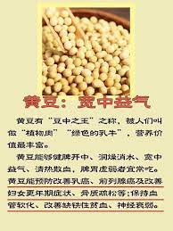 food therapy chinese herbal tea health