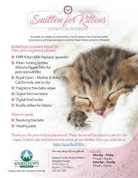 Smitten For Kittens Donation Shower Animal Shelter Animal Shelter Animal Shelter Donations Shelter Kittens