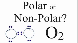 The δen of carbon and hydrogen is ~0.35, too weak to be considered a true polar bond. Is O2 Polar Or Nonpolar Techiescientist
