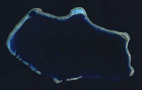 Her favorite flowers, poofkins, are found in red, blue, and purple. Bikini Atoll Wikipedia