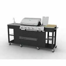 Vidaxl Barbecue En Inox A Gaz 4 Bruleurs Avec Bruleur Lateral Cuisine Jardin Ebay
