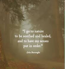 I Go To Nature To Be Soothed And Healed And To Have My Senses Put In Order John S Burroughs Nature Quotes Words Inspirational Quotes