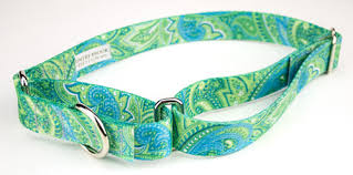 Step 1 measure your pup. How To Make A Martingale Collar For Dogs