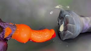 Knotting Everything With Big Werewolf Dildo