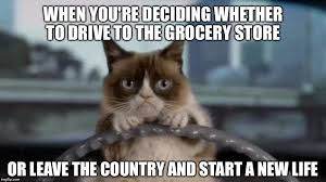 Should I Stay Or Should I Go Grumpy Cat Funny Grumpy Cat Memes Grumpy Cat Humor Cat Jokes