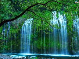 Unduh 108 Wallpaper Bergerak Indah Waterfall Wallpaper Waterfall Green Leaf Wallpaper