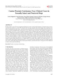 The two major reasons for neutering a nonbreeding dog have been for better behavior and health. Pdf Canine Prostate Carcinoma Four Clinical Cases In Sexually Intact And Neutered Dogs