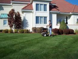 We considered customers' reviews, lawn care services finished projects and their closeness to you. Lawn Care Services Fertilizer Weed Control Turf Solutions Lees Summit