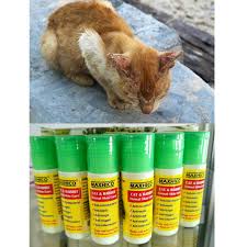 Cara memberi ubat pil kepada kucing via kucingutara.blogspot.com. Ubat Kurap Kucing