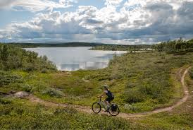 Se oversikt over tilbudet i linjekartet under. Ferie I Trondelag Opplev Tydal I Sommer