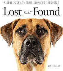 Dog breeds with long whiskers. Lost But Found By Peter Sharp