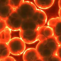 We did not find results for: Why Homeostasis Is Important Examples Of Homeostasis