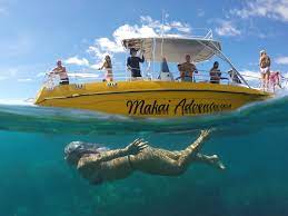 Maui Whale Watching Tours | Maui Snorkeling Tours | Maui Fishing