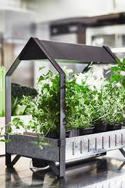 Krydda Gewachshaus Pflanzenrankgitter Hangepflanzen Zimmer Ikea Pflanzen