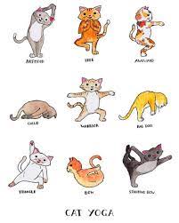 it s friday what are you going to do for yourself this weekend yoga class fun adventure run a marathon get a tattoo get out yoga humor yoga sanati kedi