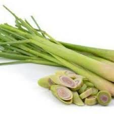 Masukkan ikan lele yang telah digoreng ke dalam bumbu, aduk rata. Jual Promo Daun Salam Sereh Daun Kunyit Daun Jeruk Jahe Lengkuas Kunyit Kencur Berkualitas Di Lapak Claudia Collection Bukalapak