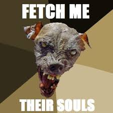 Yes that's a cod reference. Image 112079 Cynical Dog Know Your Meme
