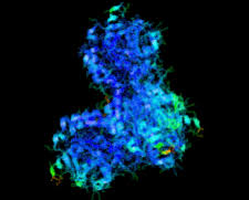 IUCr) Acta Crystallographica Section F Volume 67, Part 2, February 2011