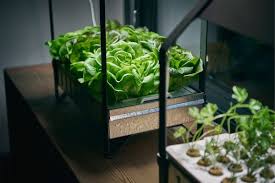 Last year alone, the swedish home décor giant sold nearly $2 billion worth of food, so it follows that the. Food For The Future Ikea