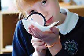 BC Parent Family Resource Guide 2023 by BC Parent Magazine