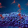 AI Advances Virus Design to Combat Antibiotic-Resistant Bacterial Infections
