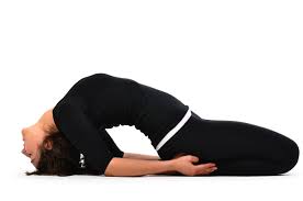 Benefits Of Asanas Yoga Center Bangalore