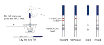 Pregnancy Test Hcg Test Rapid Test Rapid Test Manufacturer Fertility Test