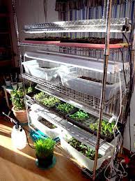 Starting Seeds Indoors With Soil Cubes Starting Seeds Indoors Indoor Seed Starting Indoor Seed Starting Setup