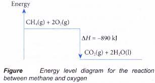 Energy Profile Diagrams Endothermic Exothermic Reactions 3 Exothermic Reaction Chemical Energy Energy Level