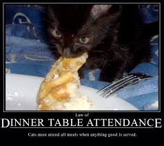 Cat Law Of Dinner Table Attendance Cats Dinner Table Kitty