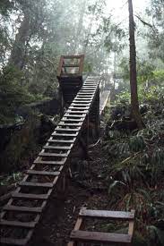 Der West Coast Trail 1999 Reisen Kanada
