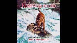 Recent or active heat, pregnant, postpartum, overweight, pyometra/hydrometra, cryptorchid, aggression. Homeward Bound The Incredible Journey Flying Pussy Aka Flying Cat Youtube