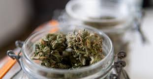 Cannabis Retail License Restrictions in New Mexico: What Cannabusinesses  Need to Know About 'Deli-style' Services | Vicente Sederberg LLP