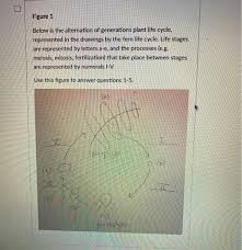 Check spelling or type a new query. Figure 1 Below Is The Alternation Of Generations Chegg Com