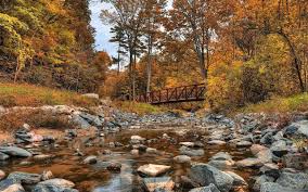 Herfst Wallpapers Herfstfoto S Achtergronden Wallpaper Achtergronden Natuur Behang