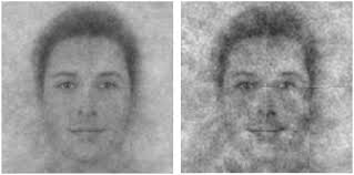 The faces of God in America: Revealing religious diversity across people  and politics