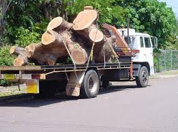 Check spelling or type a new query. Ace Arbor Services In Berrimah 0828 Nt 5 Photos 5 Reviews Localsearch