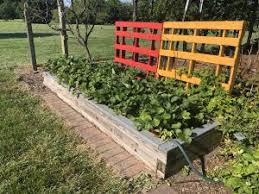 Your strawberry landscape stock images are ready. Edible Native Landscaping Strawberries The Land Connection