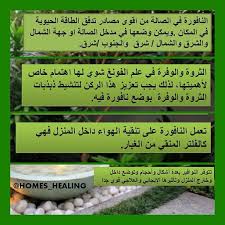 instagram photo by homes healing s alasfar via iconosquare fung shui feng shui house feng shui