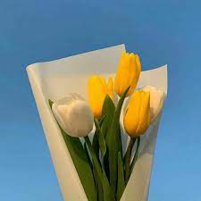 Aesthetic cute designs for notes. T U L I P Flower Aesthetic Beautiful Flowers Pretty Flowers