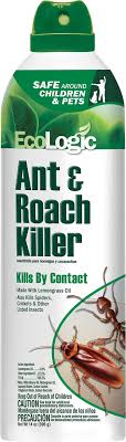 It leaves no lingering chemical odor. Top 5 Best Pet Safe Killer For Roaches 2021 Review