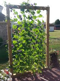 Eine Andere Sicht Andere Eine Sicht Garten Garten Ideen Landschaftsbau