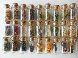The People From The West Of Hesperia Where The Swamps And Forests Are Thick Consider No House A Home Or A Kitchen Stocked If It D Witch Aesthetic Witch Wicca