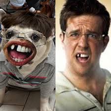 Dog Ranch Rescue Happy Tails