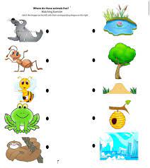 Matching Animals To Their Home Worksheet Crafts And Worksheets For Preschool Toddler And Kinderga Preschool Worksheets Kids Math Worksheets Animal Worksheets