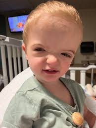 June 27th, 2025 Update: Penelope had her monthly checkup today and  everything looks pretty decent, all things considered! 🙌 Her red blood  cells, hemoglobin, and platelets are chilling in the normal range,