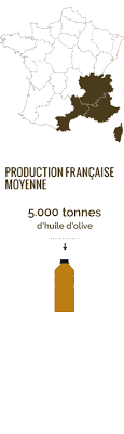 Olive Les Especes Cultivees Cultures Utilisation Terres Univia