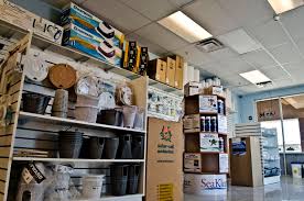 Everything you need to know. Malibu Pool Supplies Az