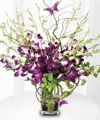 Purple Dendrobium Orchid Majesty Orchid Flower Arrangements Purple Orchids Orchid Vase